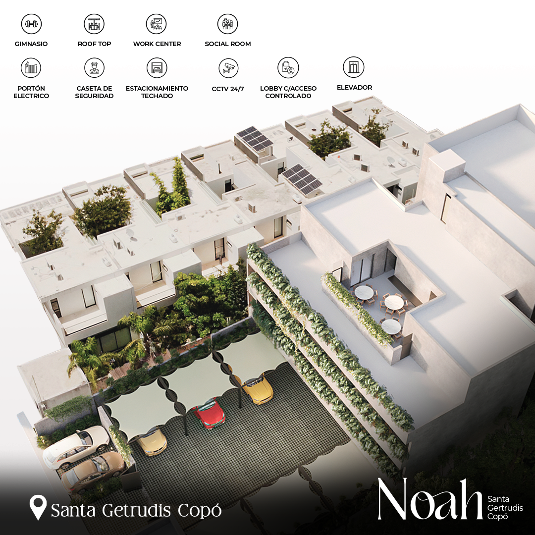 REDES SOCIALES NOAH